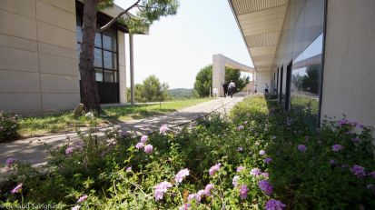 Bureau Sophia Antipolis 1108m² Location bureau Sophia Antipolis Alpes-Maritimes OLBUR2426858 1